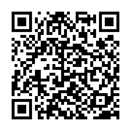 QR code for XII519