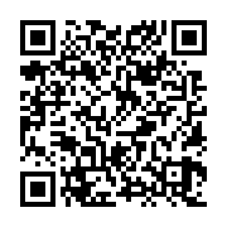 QR code for XIO729