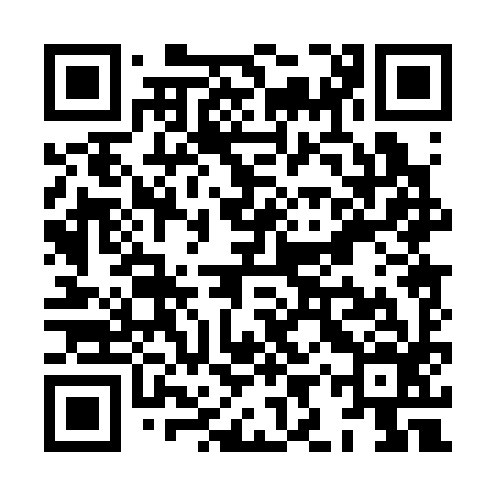 QR code for XIP396