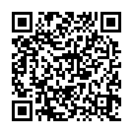 QR code for XJF333