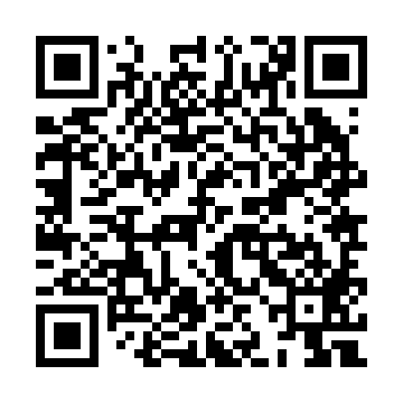 QR code for XJJ289