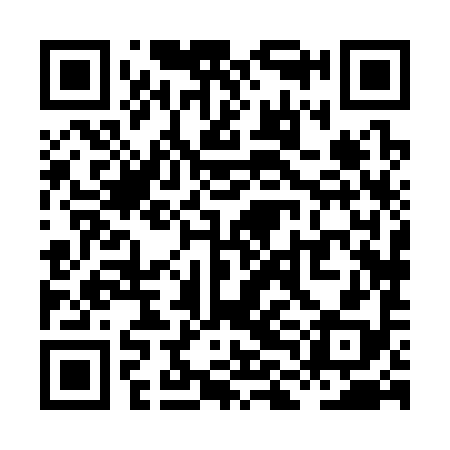 QR code for XLH398