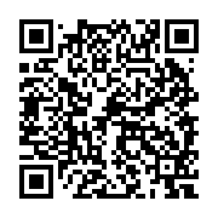 QR code for XLN293