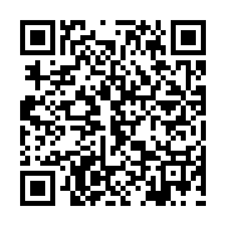 QR code for XLN337