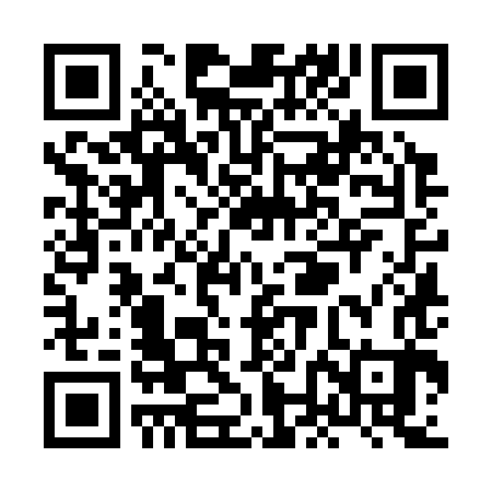 QR code for XNK383