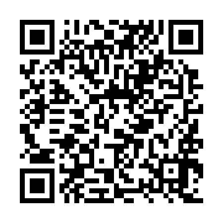 QR code for XSD397