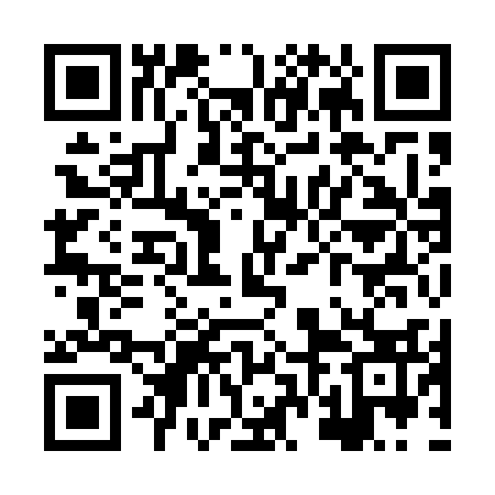 QR code for XVI533