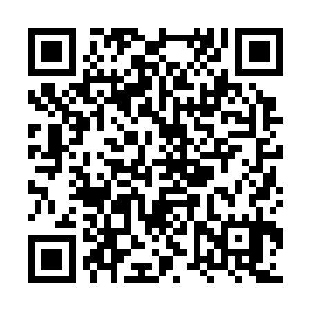 QR code for XVZ335