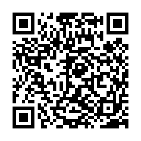QR code for XXI413