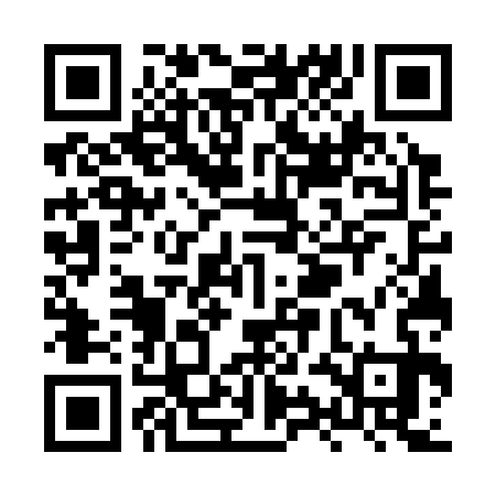 QR code for XYG333