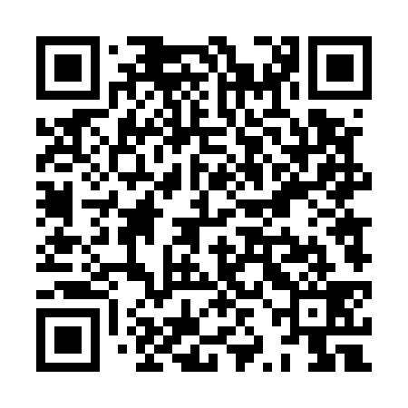 QR code for XZD539