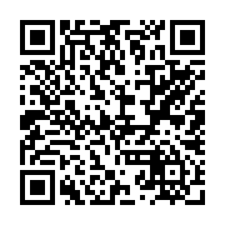 QR code for XZG295