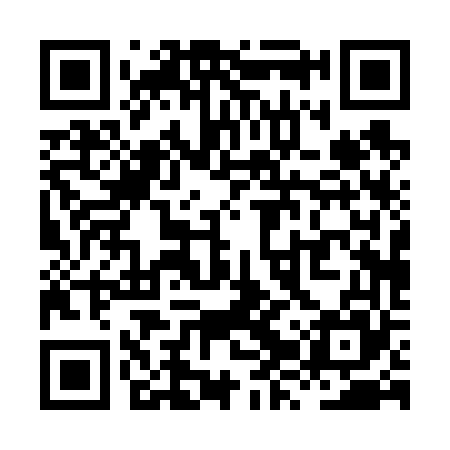 QR code for XZP665