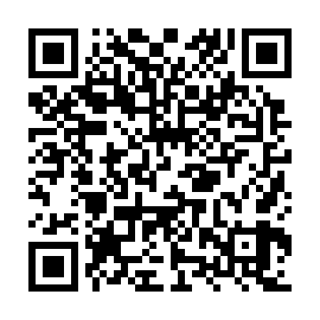 QR code for XZZ369
