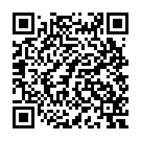 QR code for YAG317