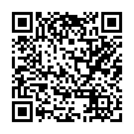 QR code for YAK311