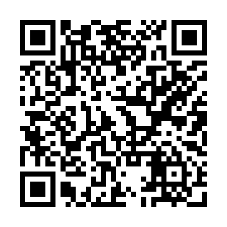 QR code for YAP995
