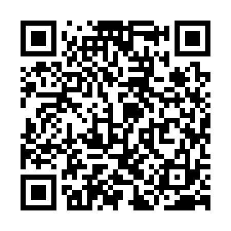 QR code for YAY333