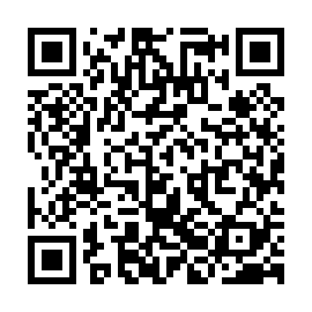 QR code for YBM029