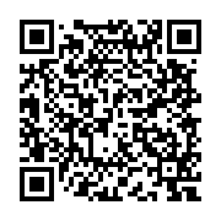 QR code for YCP595