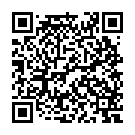 QR code for YIC383