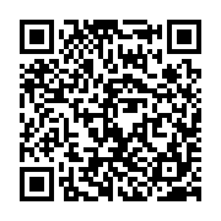 QR code for YLF394