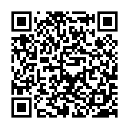 QR code for YLL095