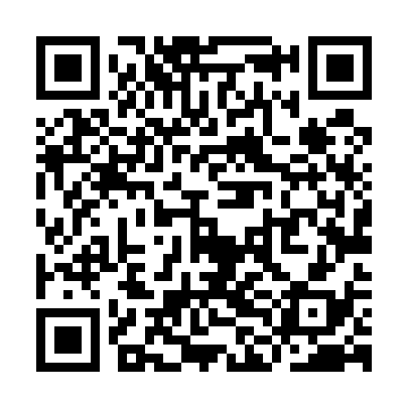 QR code for YLL538