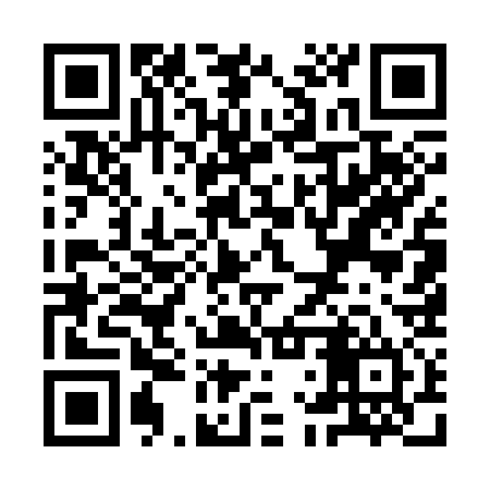 QR code for YLU334