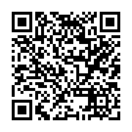QR code for YMN387