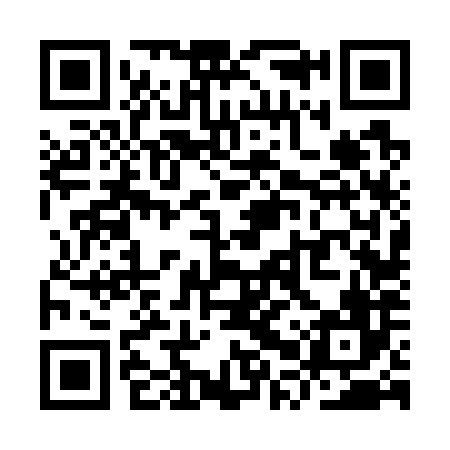 QR code for YPV786