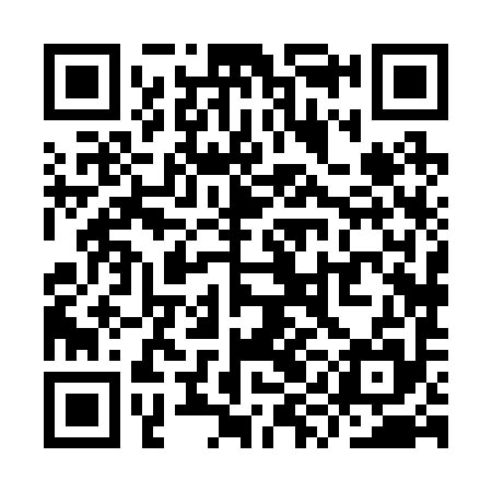 QR code for YYH295