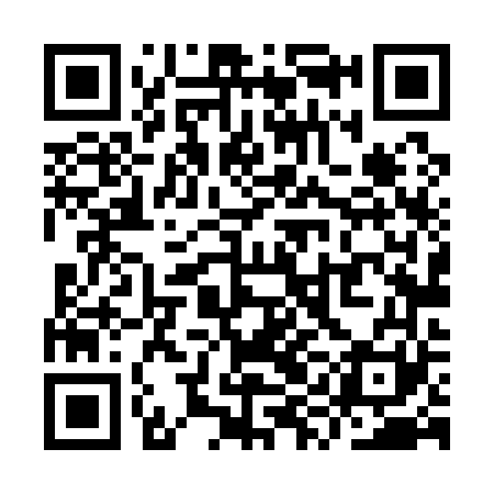 QR code for YYL161