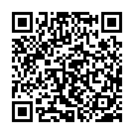 QR code for YYP368