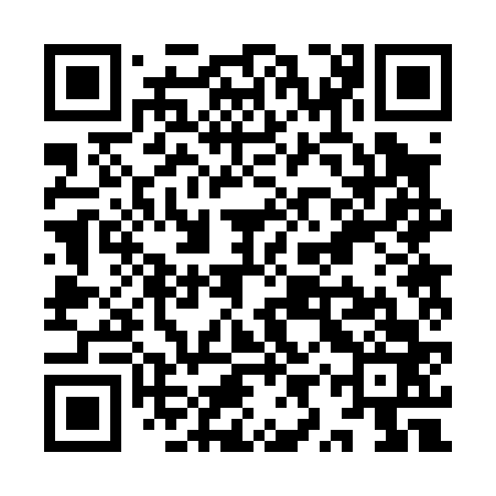 QR code for YYR063