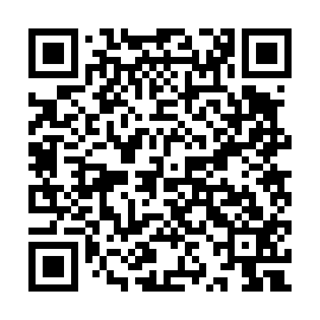 QR code for YZB413