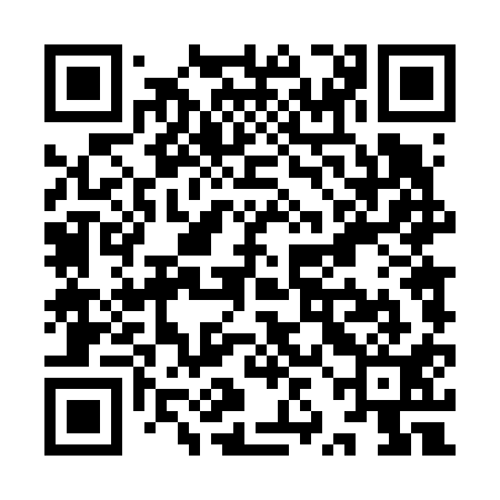 QR code for YZD611