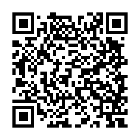 QR code for YZT486