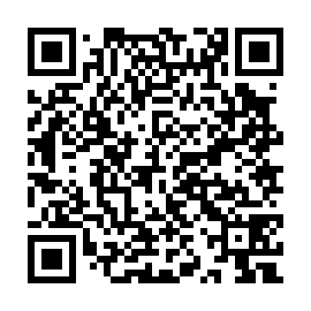 QR code for YZZ078