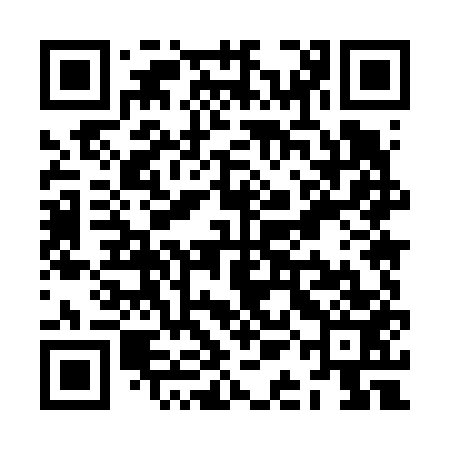 QR code for ZAM653
