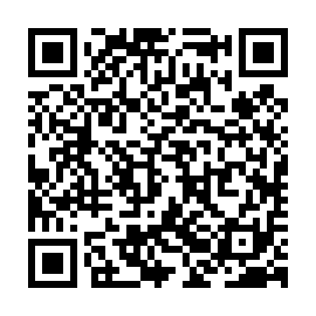 QR code for ZBB411