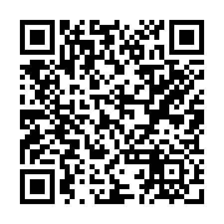 QR code for ZBO333