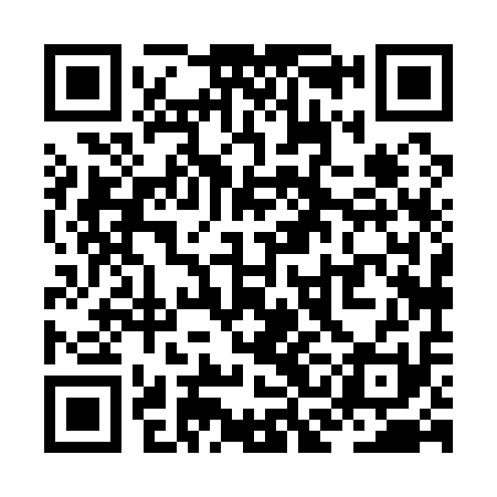 QR code for ZCH111