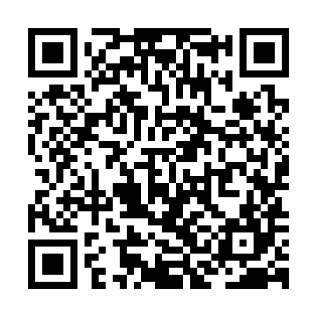 QR code for ZCK384