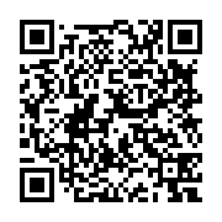 QR code for ZCS838