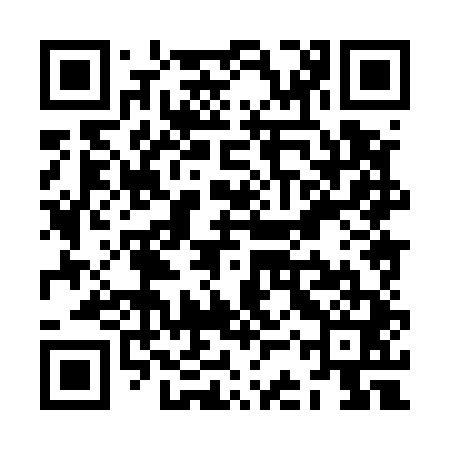 QR code for ZCX541