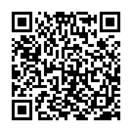 QR code for ZDD993