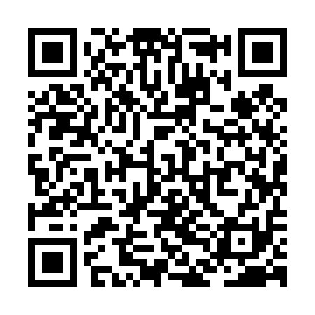 QR code for ZDI411