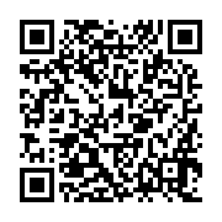 QR code for ZDJ996