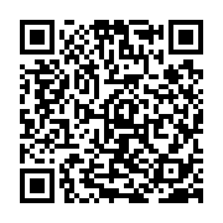 QR code for ZDK738